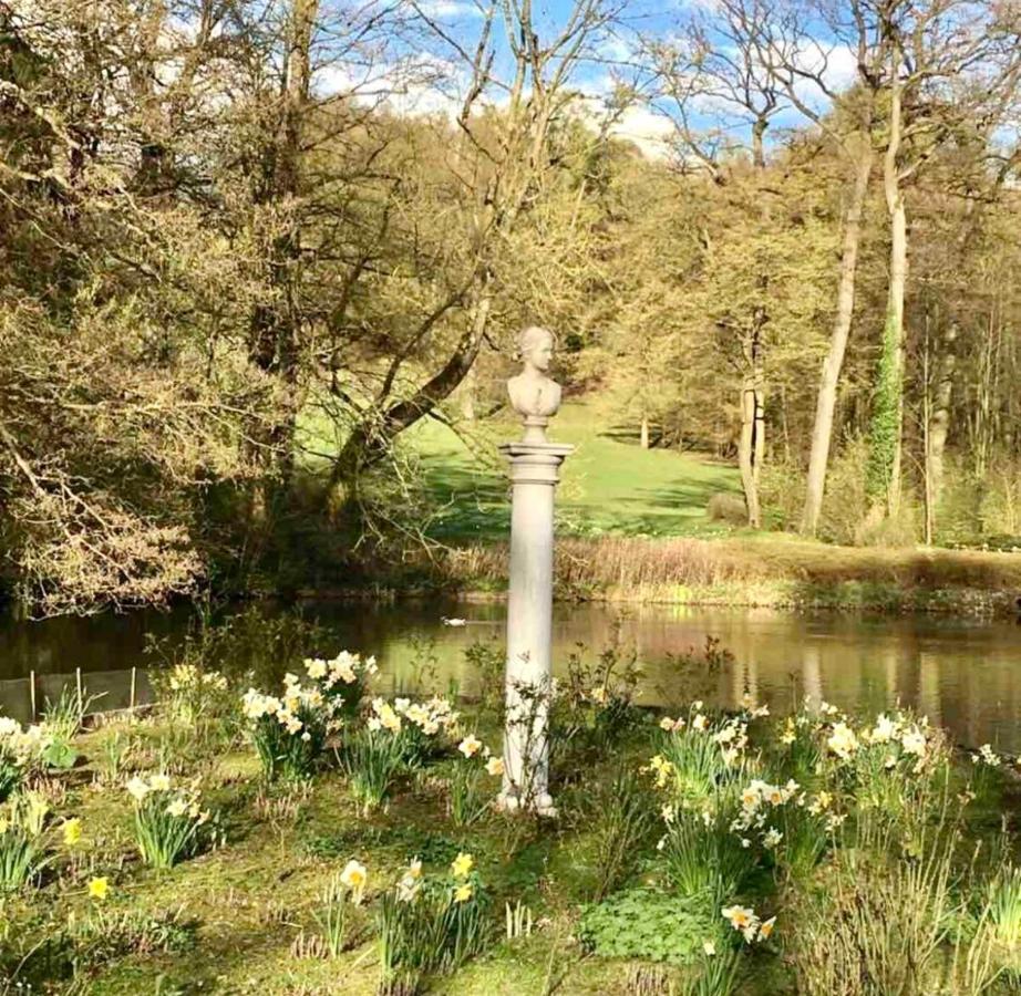Exklusives Wohnen Am Stadtpark Bad Driburg Zewnętrze zdjęcie